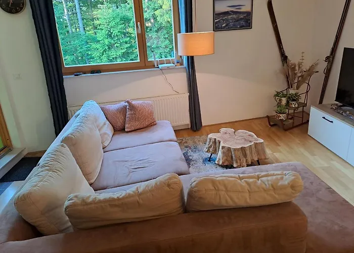Apartment Alpina