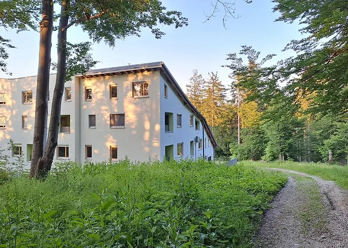 Apartment Alpina