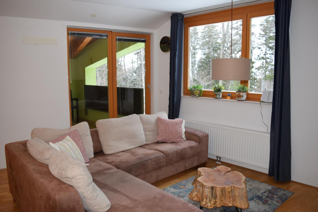 Alpina Apartment *